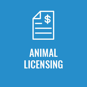 ANIMAL-LICENSING