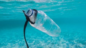 plastic bottle ocean pollution