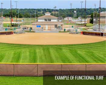 photo of an example-of-functional-turf, baseball field with grass in the outfield area