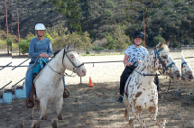 CARLYLE E. LINDER EQUESTRIAN PARK